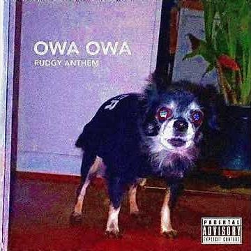Sawyer - OWA OWA (Pudgy Anthem) - Official Sound