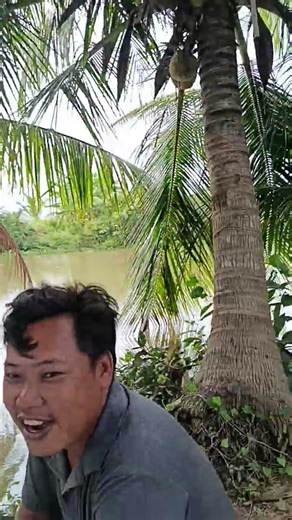 bình yên là được rui bon chen chi nữa