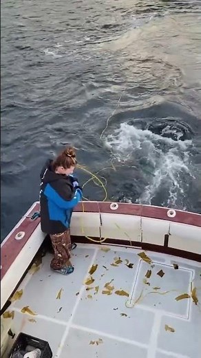 This is how you put out a Promar Ambush hoop net!