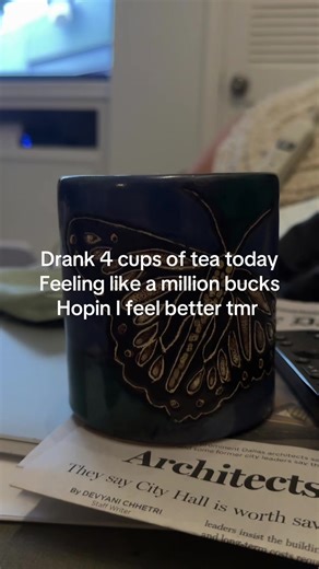 Mockingbird (@mockingbird.usa)’s videos with original sound - .