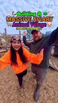 Building a MASSIVE AVIARY Animal Village🦆🐓 #animalshorts #aviary #birds #farmanimals #animals #diy