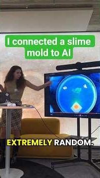 Justice for useless swe projects 🗣️ #tech #ai #raspberrypi