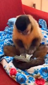 When life was good. Lol | Audley Prince