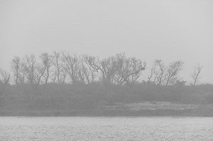 A take of the Parana river delta islands, from the opposite riverbank...