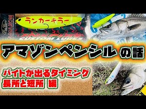 アマゾンペンシルの話 - フック、ルアーカラー、バイトが出るタイミング、長所と短所編 - 新シリーズシーバスが良く釣れるルアー 〇〇の話 エバーグリーン トップウォーター インプレ