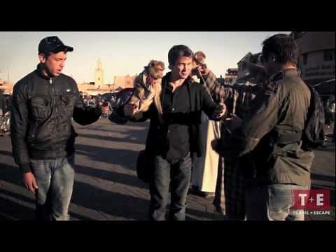 How To Avoid A Photo Op/Money Op Scam