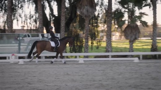 🐴"The half-halt is like a valve system. When you add pressure in one place, you need to release it through another aid so everything is working together. You want to think of it as a constantly moving and evolving system of aids where there’s constant pressure and release."🐴 ~ Ashley Donadt, on mastering the nebulous half-halt The ubiquitous half-halt is a challenging concept and skill to master, but it’s essential for every horse and rider at every level. Donadt helps demystify the half-halt 