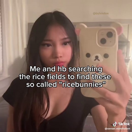 Exploring Asian Culture Through Cute Bunny Videos