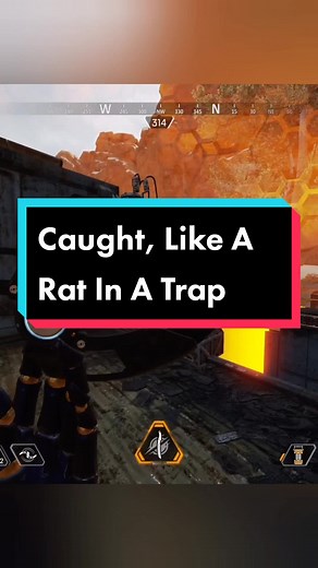 This happened in ranked. I couldn't stop laughing at this. #apexlegends #apexconsole #apexranked #ashapexlegends