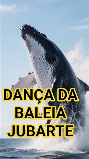 BALEIA JUBARTE A DANÇA DOS GIGANTES