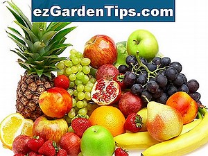 Wanneer moet je Lychee oogsten 🌱 Tips Tuinders - Nl.ezGardenTips.com