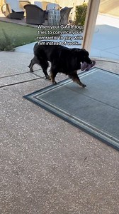 Bowser makes it hard not to play 😂 Could you resist? This was a throwback from one of Sasha's last weeks | Bowser The Giant Mastiff