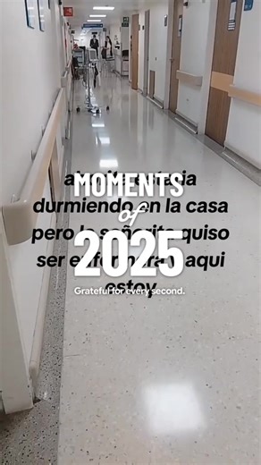 Animanimals: Resumen del Año 2025