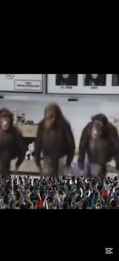 Monkey dance meme #memes #viralshort #funny #monkey
