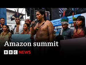 Amazon rainforest: Leaders meet in Brazil for summit - BBC News