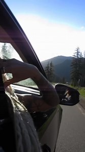 8K views · 98 reactions | We’re still drooling over this shoot  Who has plans to install our extensions this summer?? ⬇️ #Dreads #hairinspo #UtahHair #hairextensions | DreadFullHippie | Facebook