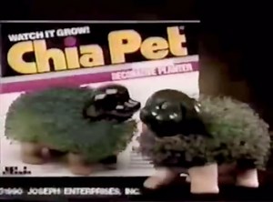 347 reactions · 31 shares | Who remembers these ch-ch-ch-cheerful commercials? (Who had this for a pet??) #ChiaPet #1990 #Chia #1990s #90s #neighties # # | The Neighties: late 80s + early 90s | Facebook
