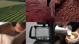 Coffee journey step by step process from cultivation at a plantation to careful bean harvesting drying under the sun roasting grinding brewing and serving a fresh aromatic cup at a cafe
