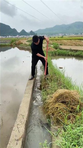 Agricultural Engineering: Efficient Dredging and Maintenance of Irrigation Channels
