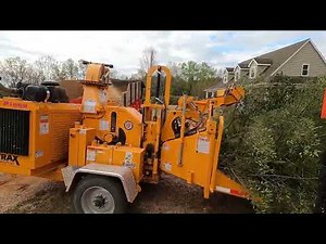 Bandit chipper chipping entire trees