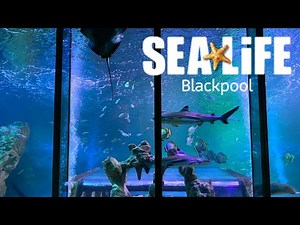 SEA LIFE Blackpool Vlog June 2021