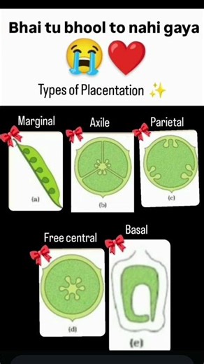 Types of PLACENTATION #neet2026 #aiimsdelhi #biology