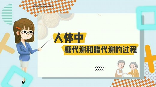 人体中糖代谢和脂代谢的过程