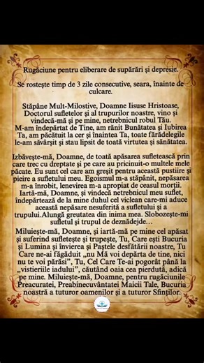 Alexandra Cristina Amza on Reels