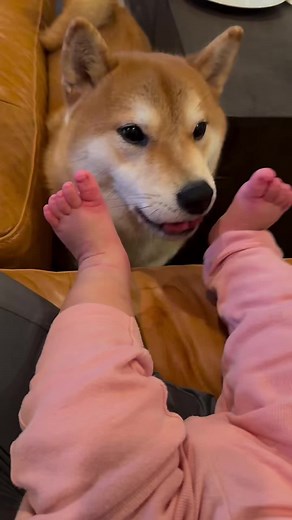 Tickle Tickle 😁 #babyfeet #toodler #babiesoftiktok #babyshoes #babyshoescollection #firsttimemom #toddlerlife #barefoot #newbornbabies #gentleparenting #toddlermama #toddlersbelike #babywearing #babystroller #babystretch