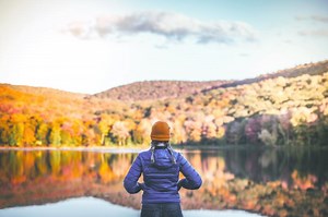 15 Best Trees for Radiant Fall Colors  | LoveToKnow