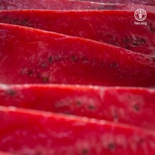 10K views · 159 reactions | Did you know that red fruits & vegetables often have properties that can help lower the risk of cancer & improve heart health? What’s your favourite red fruit or vegetable? Let us know in the comments! #WatermelonDay | Food and Agriculture Organization of the United Nations (FAO) | Facebook