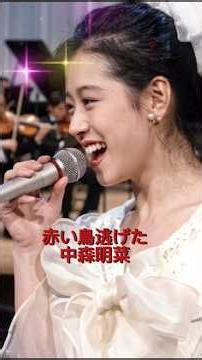 中森明菜さん推し動画 使用曲 赤い鳥逃げた/中森明菜 #歌姫中森明菜 #中森明菜さんのファン #中森明菜赤い鳥逃げた