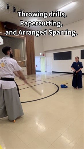 Haidong Gumdo Training Journey: Timelapse Highlights