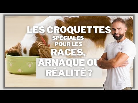 Special Breed Croquettes: Scam or Not?