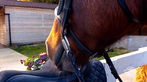 1.7K views · 25 reactions | Flo, Fleeker, and Boomer learn about horseback riding in this episode preview from #Floogals!  | Universal Kids | Facebook