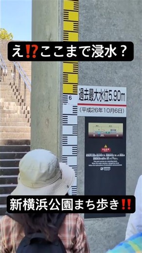 新横浜公園をぶらっとまち歩き❣️自然を楽しむ2026の4回目‼️ #自然観察 #まち歩き #自然 #横浜市緑区みどりーむ