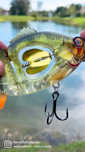 Glide Bait on the White Bird Casting combo. #favoriterods #favoritefishing #bassfishing #bass #fishing #fishinglife #fishingislife #largemouthbass #smallmouthbass #reels #fishingreel #glidebait #fishinggear #fishingtrip #catchandrelease #fishon #fishingaddict #fishingdaily #fisherman #baitcaster #futureoffishing | Favorite Fishing Rods