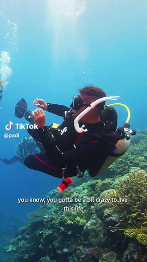 Start Your Journey as a PADI Professional Diver