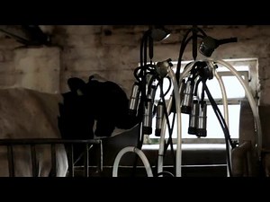 suraSil™ Food Grade Dairy Tubing - Silicone Engineering