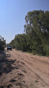 1.6K views · 53 reactions | When you’re deep in the bush and come...