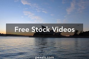 Sydney Videos, Download The BEST Free 4k Stock Video Footage & Sydney HD Video Clips