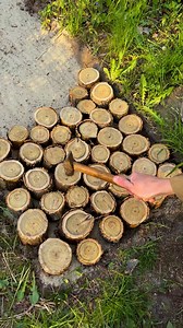Transform Your Yard with a Log Path | No Way
