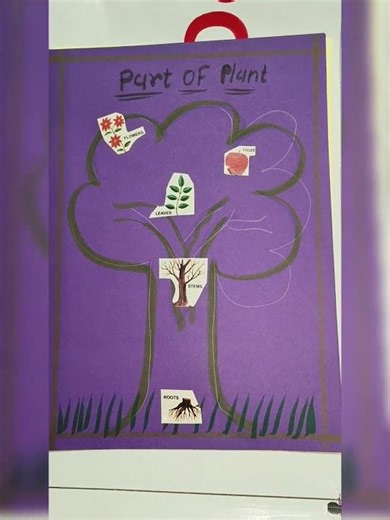 school project//our green friend plant//MDP PROJECT//GRADE 3