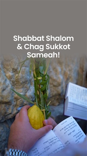 17K views · 1.2K reactions |  Shabbat Shalom & Chag Sukkot Sameach!...