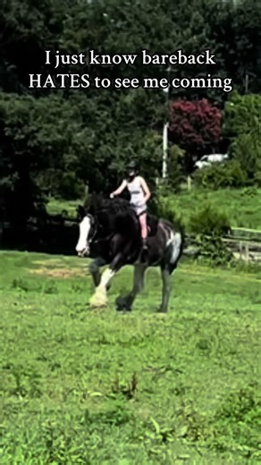 Exploring the Purpose of Saddles in Horse Riding