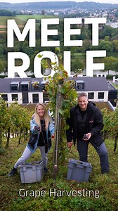 1.9K reactions · 160 shares | Grape harvesting  #rolfsorg #meetrolf | Rolf Sorg PM International | Facebook
