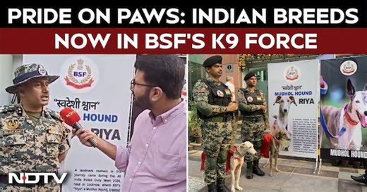Pride On Paws: Indian Breeds Lead Way In Border Security Forces K9