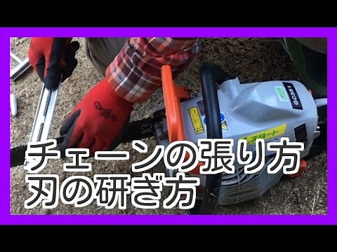 チェーンソーの刃研ぎ方😘チェーン緩みの調整 簡単