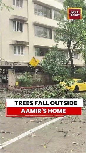 Trees Fall Outside Aamir Khan’s House Amid Mumbai Rains | India Today