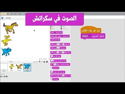 ‎⁨الصوت في سكراتش⁩/ تعليم سكراتش / حل ورقة عمل ٨ منهج الصف السادس / مهارة اضافة صوت في برنامج سكراتش